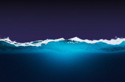 加密世界的雙面鏡：從市場喧囂到財富管理的寧靜深海